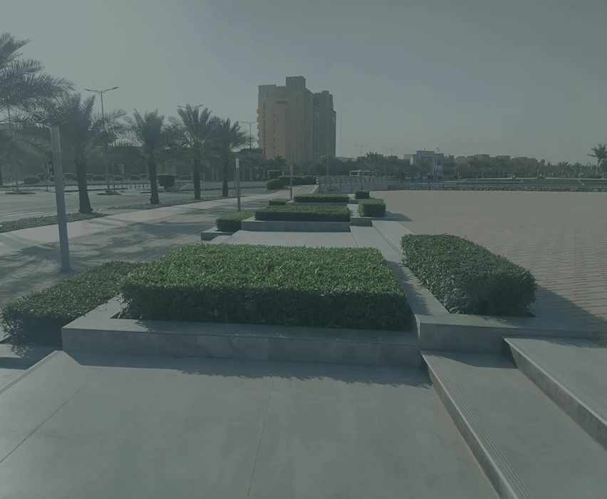 Frame 132 (1)