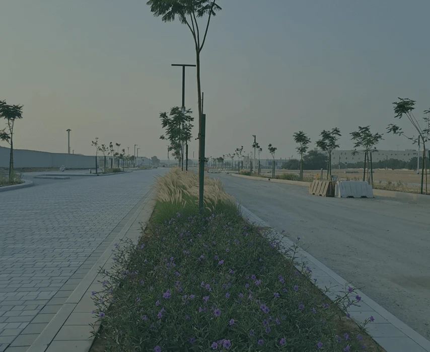 Frame 132 (1)