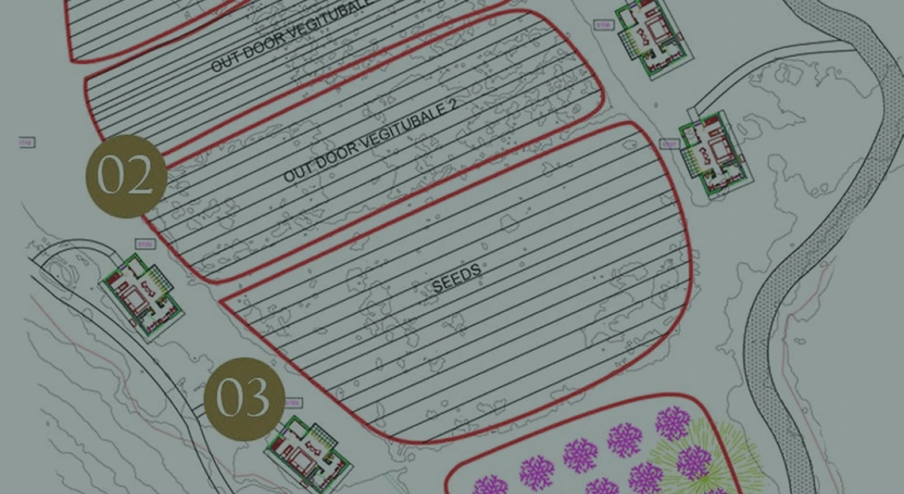 Frame 132 (3)