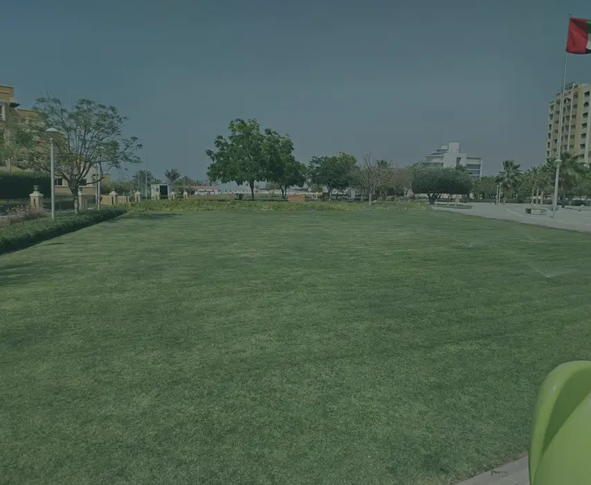 Frame 132