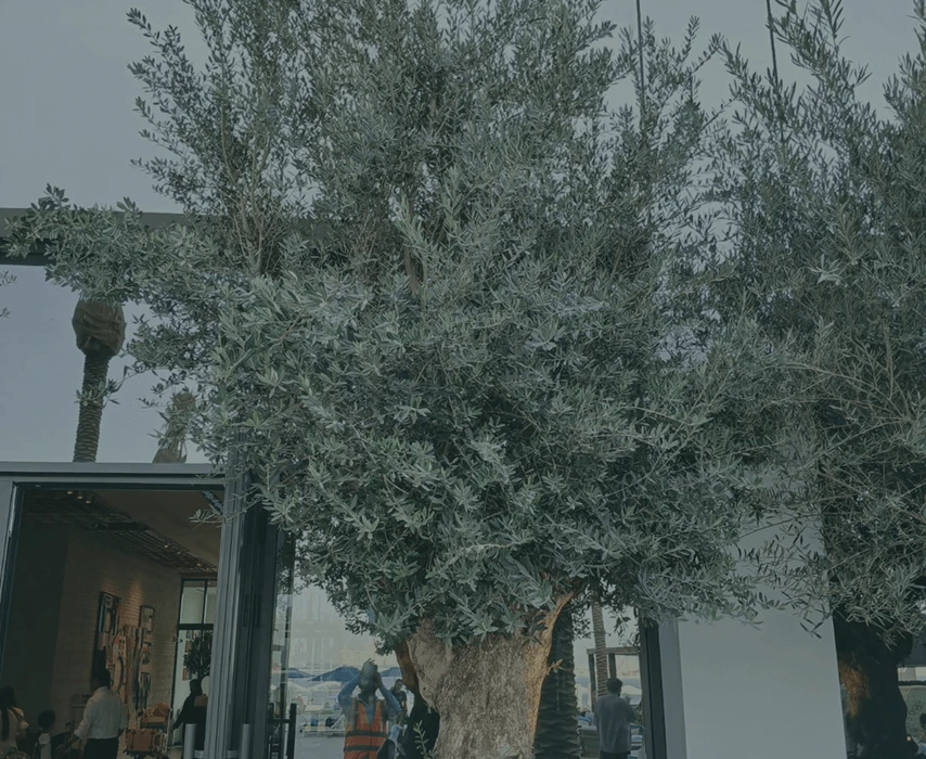 Frame 132