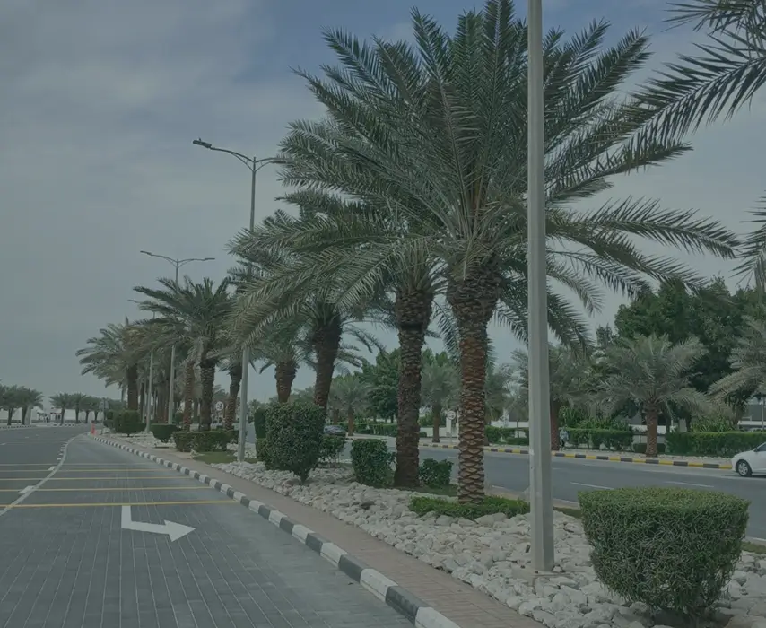 Frame 133 (1)