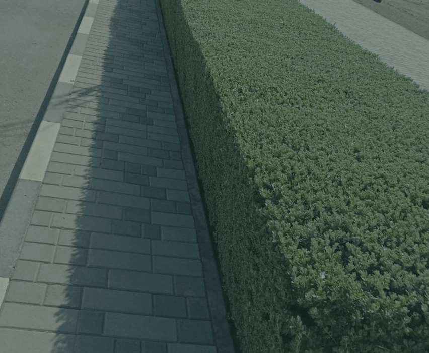 Frame 133 (1)