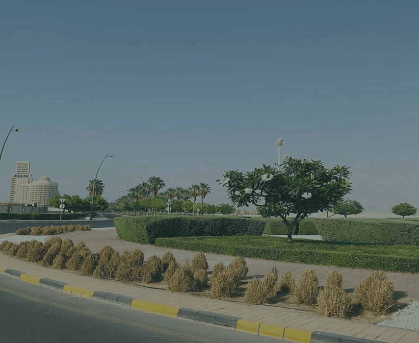 Frame 133 (1)