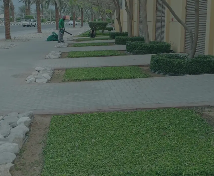 Frame 133
