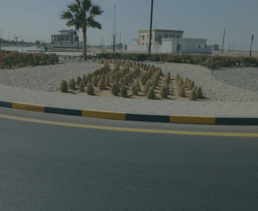 Frame 133