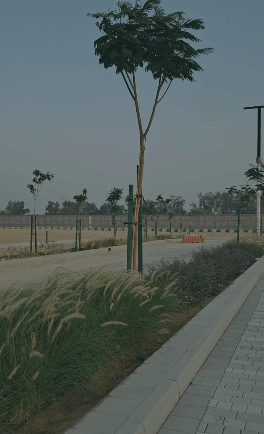 Frame 135