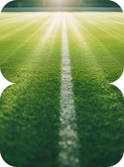 Sports Turf