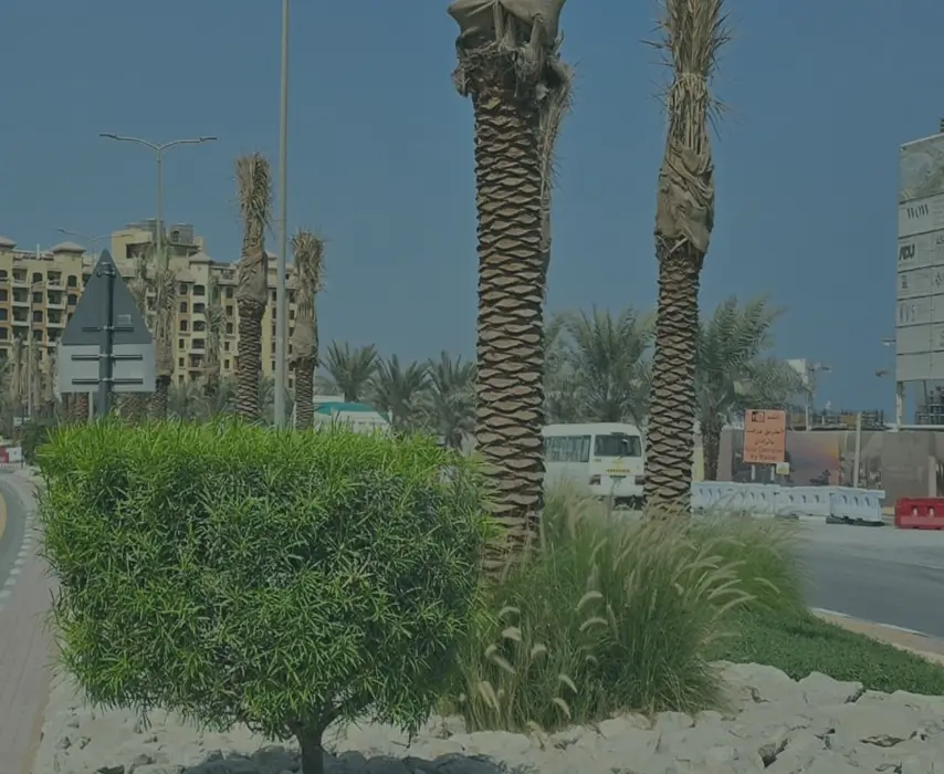 Frame 133